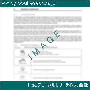 グローバルリサーチ調査資料のイメージ